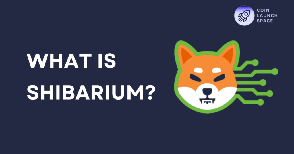 What is Shibarium? A Comprehensive Guide