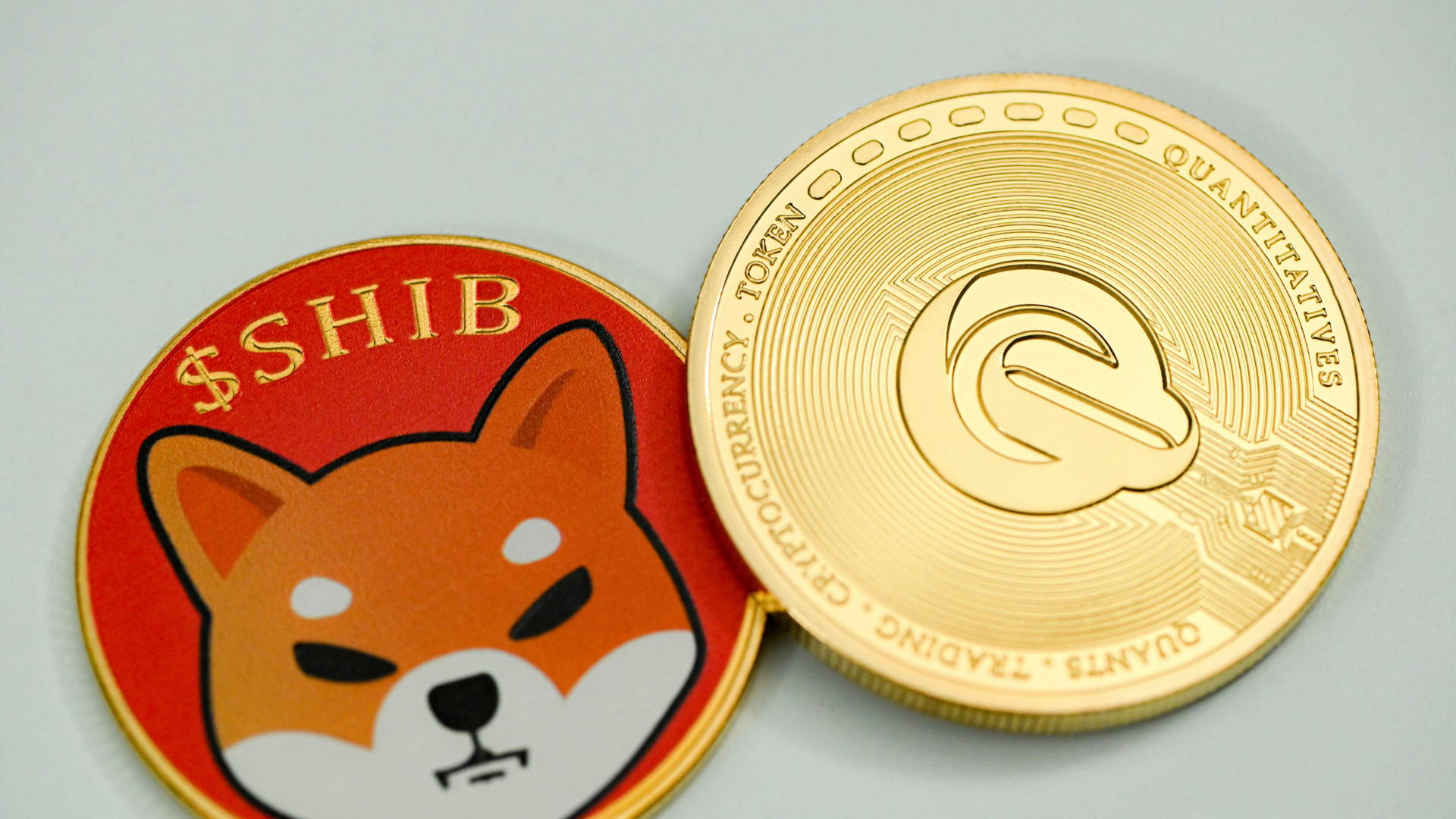Is Shiba Inu Dead? Understanding the Future of SHIB